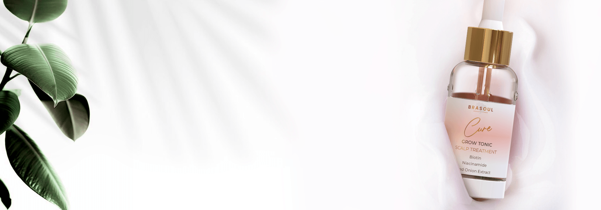 First Banner